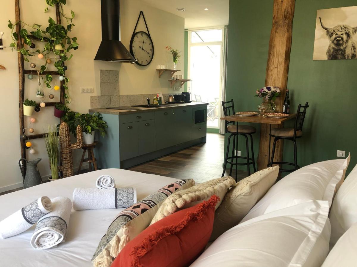 Appartement Centre-Ville Avec Terrasse Rustique 瓦讷 外观 照片